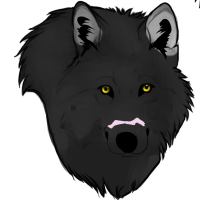 Thumbnail for ANI-2093: Alexander Archipelago wolf (M)