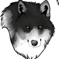 Thumbnail for ANI-2094: Alexander Archipelago wolf (F)