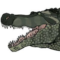 Thumbnail for ANI-2123: Deinosuchus (F)