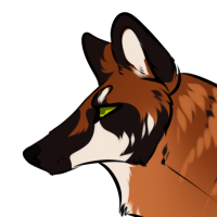 Thumbnail for ANI-2134: Maned Wolf (F)