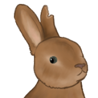 Thumbnail for ANI-2176: European Rabbit (M)