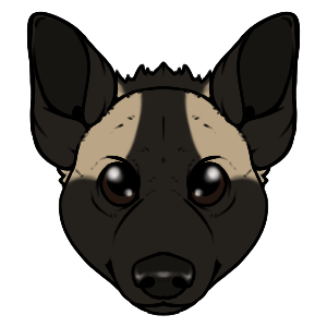 Thumbnail for ANI-2202: Striped Hyena (F)