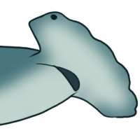 Thumbnail for ANI-2203: Scalloped Hammerhead (M)