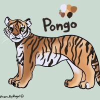 ANI-2205: Pongo