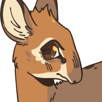 Thumbnail for ANI-2227: Kirk's Dik Dik (F)