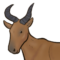 Thumbnail for ANI-2236: Bubal Hartebeest (M)