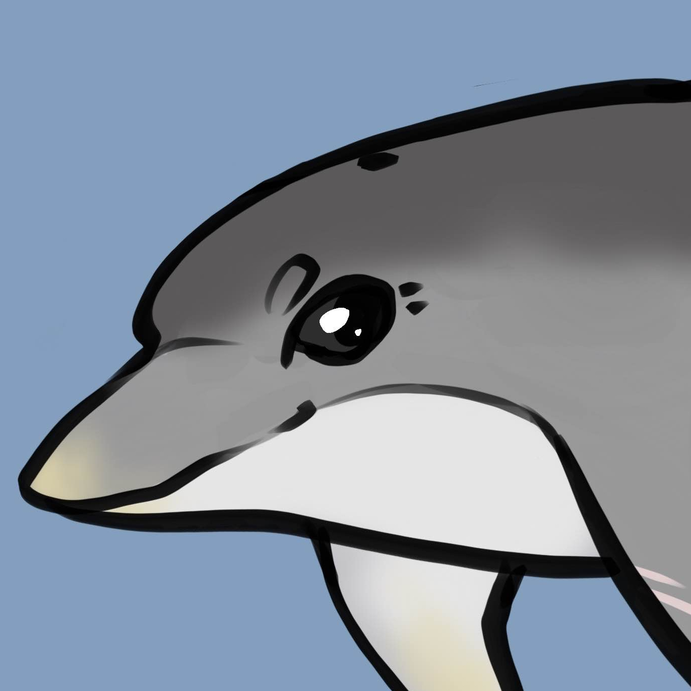 Thumbnail for ANI-2252: Bottlenose Dolphin (M)