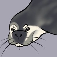 Thumbnail for ANI-2254: Hawaiian Monk Seal (F)