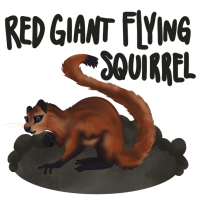 Thumbnail for ANI-2257: Triss - Red Giant Flying Squirrel (F)