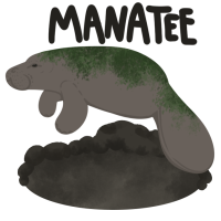 Thumbnail for ANI-2259: Barbara - Manatee (F)