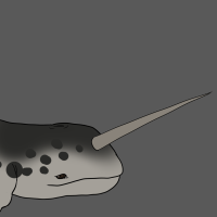 Thumbnail for ANI-2264: Narwhal (M)