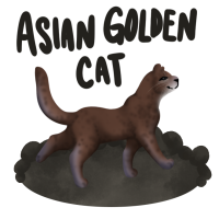 Thumbnail for ANI-2267: Tofu - Asian Golden Cat (M)