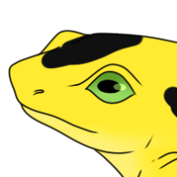 Thumbnail for ANI-2271: Panamanian Golden Frog (M)