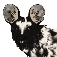 Thumbnail for ANI-2287: African Wild Dog (M)