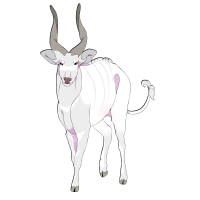 Thumbnail for ANI-2316: Albino Bongo (M)