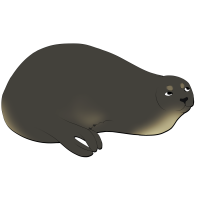 Thumbnail for ANI-2325: Caribbean Monk Seal (M)