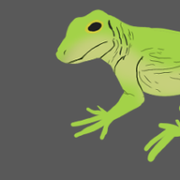 Thumbnail for ANI-2340: Anole (F)