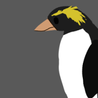 Thumbnail for ANI-2341: Rockhopper Penguin (M)