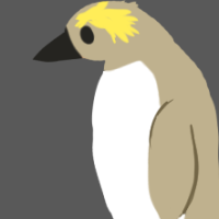 Thumbnail for ANI-2342: Rockhopper Penguin (F)