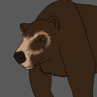 Thumbnail for ANI-2356: Spectacled Bear (F)