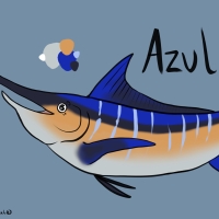 Thumbnail for ANI-2371: Blue Marlin (F)