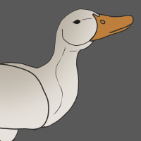 Thumbnail for ANI-2390: Domestic Duck Pekin  (F)