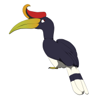 Thumbnail for ANI-2398: Rhinoceros Hornbill (M)