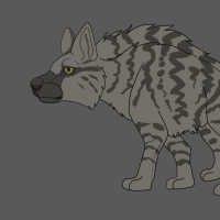 Thumbnail for ANI-2424: Striped Hyena (F)