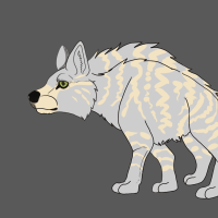 Thumbnail for ANI-2425: Leucistic Striped Hyena (F)