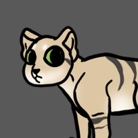 Thumbnail for ANI-2426: Sand Cat (F)