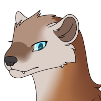 Thumbnail for ANI-2438: American Marten (F)