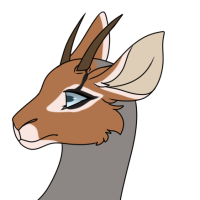 Thumbnail for ANI-2440: Beira Antelope (M)