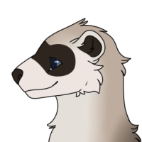 Thumbnail for ANI-2441: Black-footed Ferret (M)