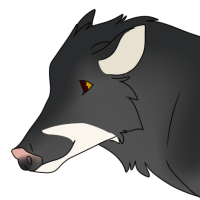 Thumbnail for ANI-2443: White-lipped Peccary (F)