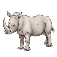 Thumbnail for ANI-2446: White Rhinoceros (M)