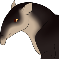 Thumbnail for ANI-2471: Baird's Tapir (M)