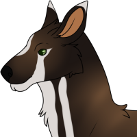 Thumbnail for ANI-2474: Siberian Musk Deer (F)