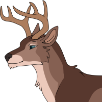 Thumbnail for ANI-2476: Key Deer (M)