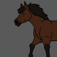 Thumbnail for ANI-2483: Domestic Horse Appaloosa  (M)