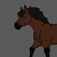 Thumbnail for ANI-2484: Domestic Horse Appaloosa  (F)