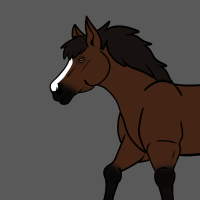 Thumbnail for ANI-2485: Domestic Horse Appaloosa  (F)