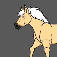 Thumbnail for ANI-2486: Domestic Horse Appaloosa  (M)