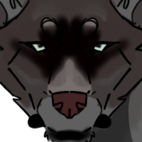 Thumbnail for ANI-2489: Alexander Archipelago wolf (M)