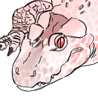 Thumbnail for ANI-2494: Chinese Alligator (M)