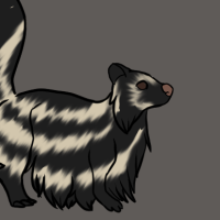 Thumbnail for ANI-2500: Species-Specific Striped Polecat (M)