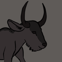 Thumbnail for ANI-2504: Blue Wildebeest (M)