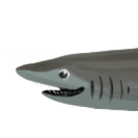 Thumbnail for ANI-2526: Sharky