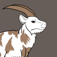 Thumbnail for ANI-2537: Domestic Goat Dutch Landrace  (F)