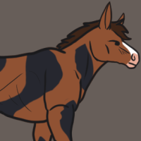 Thumbnail for ANI-2539: Patches Domestic Horse Thoroughbred  (F)