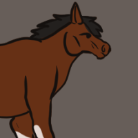 Thumbnail for ANI-2543: Domestic Horse Clydesdale  (F)